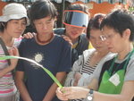 17112007_H K Flower Club Members at Tso Wo Hang Gathering00030