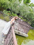 30102021_Samsung Smartphone Galaxy S10 Plus_Lingnan Garden_Helen Chan00111