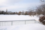 08022010_Hokkaido Tour Day Seven_中島公園00029