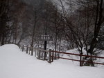 10022012_Hokkaido_大雪山國立公園00003
