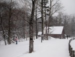 10022012_Hokkaido_大雪山國立公園00007