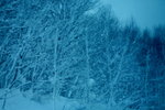 10022012_Hokkaido_往旭川市途中00027