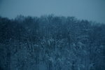 10022012_Hokkaido_往旭川市途中00032