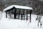 10022012_Hokkaido_旭川市旭山動物園00045