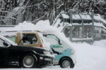 10022012_Hokkaido_旭川市旭山動物園00050