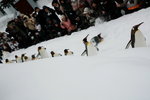 10022012_Hokkaido_旭川市旭山動物園_Penguin Parade00011
