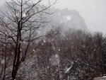 IMG_3391