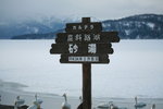 11022012_Hokkaido_屈斜路湖砂湯白鳥飛來地00004