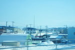 11022012_Hokkaido_往硫黃山途中00005