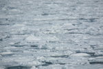 11022012_Hokkaido_網走冰川00068