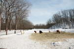 12022012_Hokkaido_Momin Farm00032