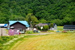 26072018_Nikon D800_19th Round to Hokkaido_Furano Tomita Farm_Irodorihatake00074