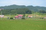 26072018_Nikon D800_19th Round to Hokkaido_Furano Tomita Farm_Irodorihatake00093
