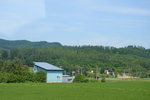 26072018_Nikon D800_19th Round to Hokkaido_Furano Tomita Farm_Irodorihatake00094
