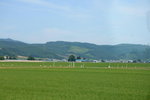 26072018_Nikon D800_19th Round to Hokkaido_Furano Tomita Farm_Irodorihatake00097