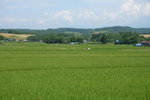 26072018_Nikon D800_19th Round to Hokkaido_Way to Biei00010