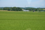 26072018_Nikon D800_19th Round to Hokkaido_Way to Biei00011