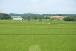 26072018_Nikon D800_19th Round to Hokkaido_Way to Biei00012