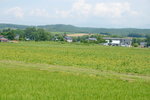 26072018_Nikon D800_19th Round to Hokkaido_Way to Biei00013