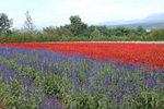 28072008_Hokkaido_