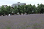 28072008_Hokkaido_