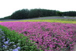 28072008_Hokkaido_