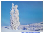 07012026_Hokkaido Seasons00003
