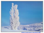 07012026_Hokkaido Seasons00003