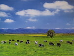 07012026_Hokkaido Seasons00007