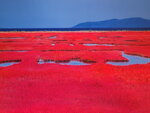 07012026_Hokkaido Seasons00009