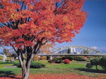 07012026_Hokkaido Seasons00011