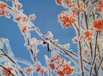07012026_Hokkaido Seasons00012