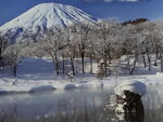 09082020_A Snowy Hokkaido00033