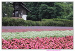 31072025_Canon EOS 5Ds_30th round to Hokkaido00189
