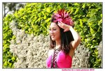 19032015_Miss TVB and Artistes@Hong Kong Flower Show_Katherine Ho00028