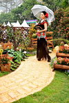 06032014_TVB Artists@Hong Kong Flower Show_Kirby Lam Sau Yee00003