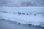 08022020_Nikon D800_22nd round to Hokkaido_Day Three_Abashiri Ice Breaker Cruise_Aurora000025