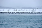 08022020_Nikon D800_22nd round to Hokkaido_Day Three_Abashiri Ice Breaker Cruise_Aurora000084