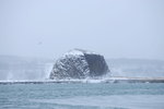 08022020_Nikon D800_22nd round to Hokkaido_Day Three_Abashiri Ice Breaker Cruise_Aurora000092