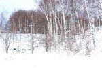 08022020_Nikon D800_22nd round to Hokkaido_Day Three_Lily Park Snow Bike Circuit000018