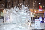 10022020_Nikon D800_22nd round to Hokkaido_Day Five_Susukino Ice World00025