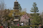 6-10 April 2006_京阪神之旅_Sakura00016
