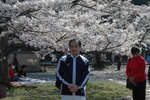 6-10 April 2006_京阪神之旅_Sakura00030