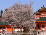 6-10 April 2006_京阪神之旅_Temple00006