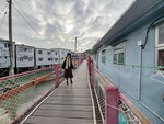 23122023__Samsung Samrtphone Galaxy S10 Plus_Tai O_Lily Tsang00075