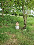 29072023_Samsung Smartphone Galaxy S10 Plus_Golden Beach_Lily Tsang00036