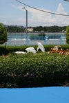 10072010_Ma On Shan Park00003
