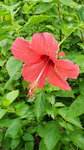 13102019_Lingnan Garden Snapshots00001