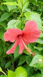 13102019_Lingnan Garden Snapshots00002
