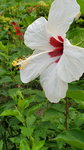 13102019_Lingnan Garden Snapshots00003